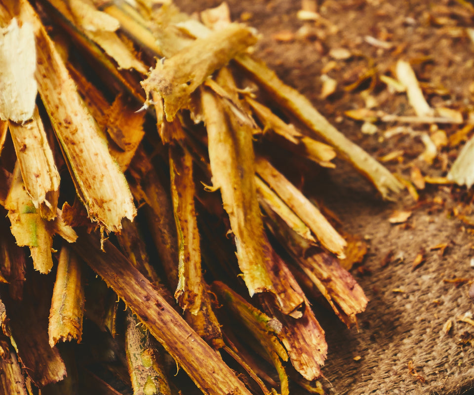 Bundle of cinnamon bark sticks, an ingredient in Krocus & Co. Cinnamon & Clove tea