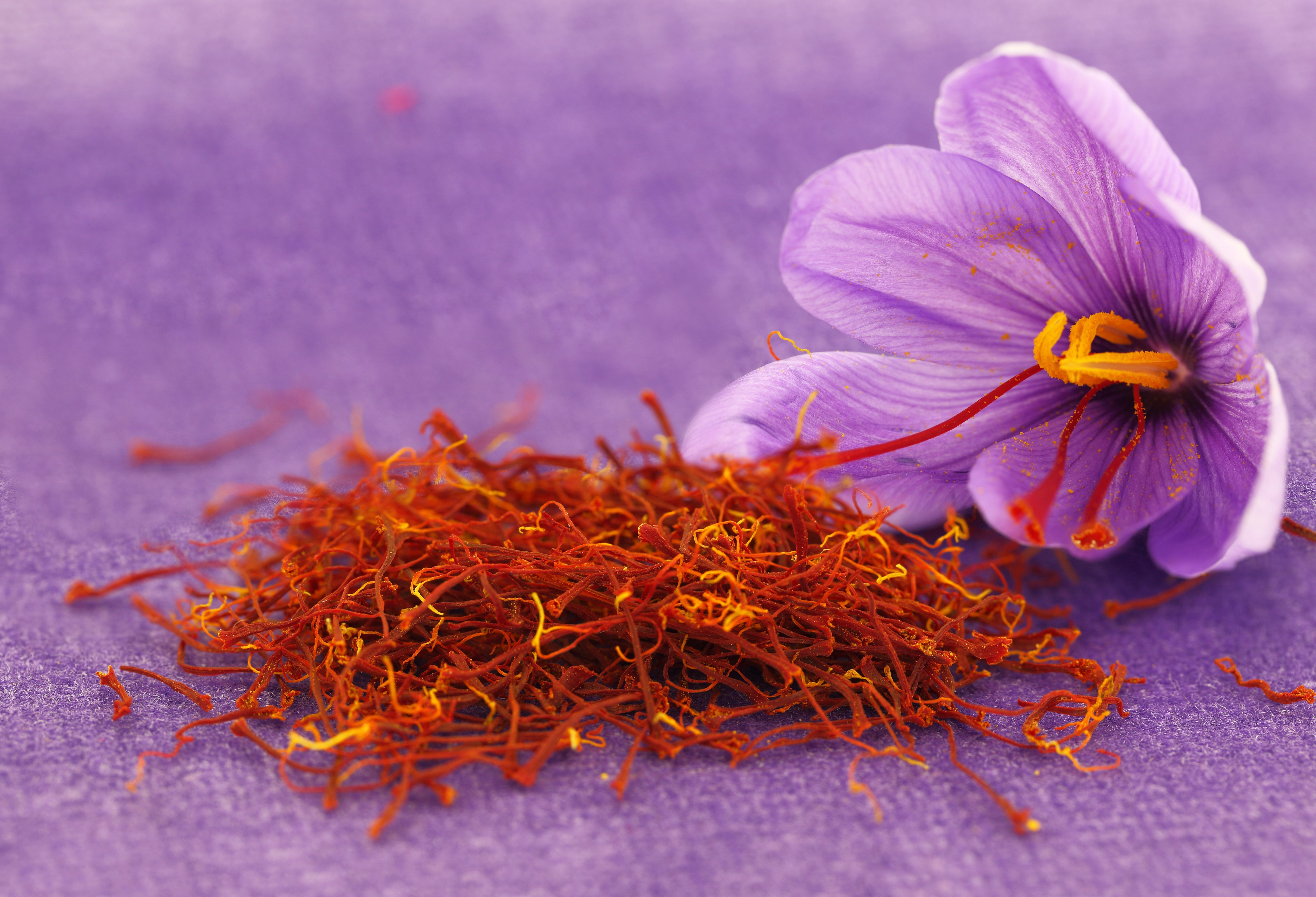 Greek saffron threads with a crocus flower, used in Krocus & Co. tea blends
