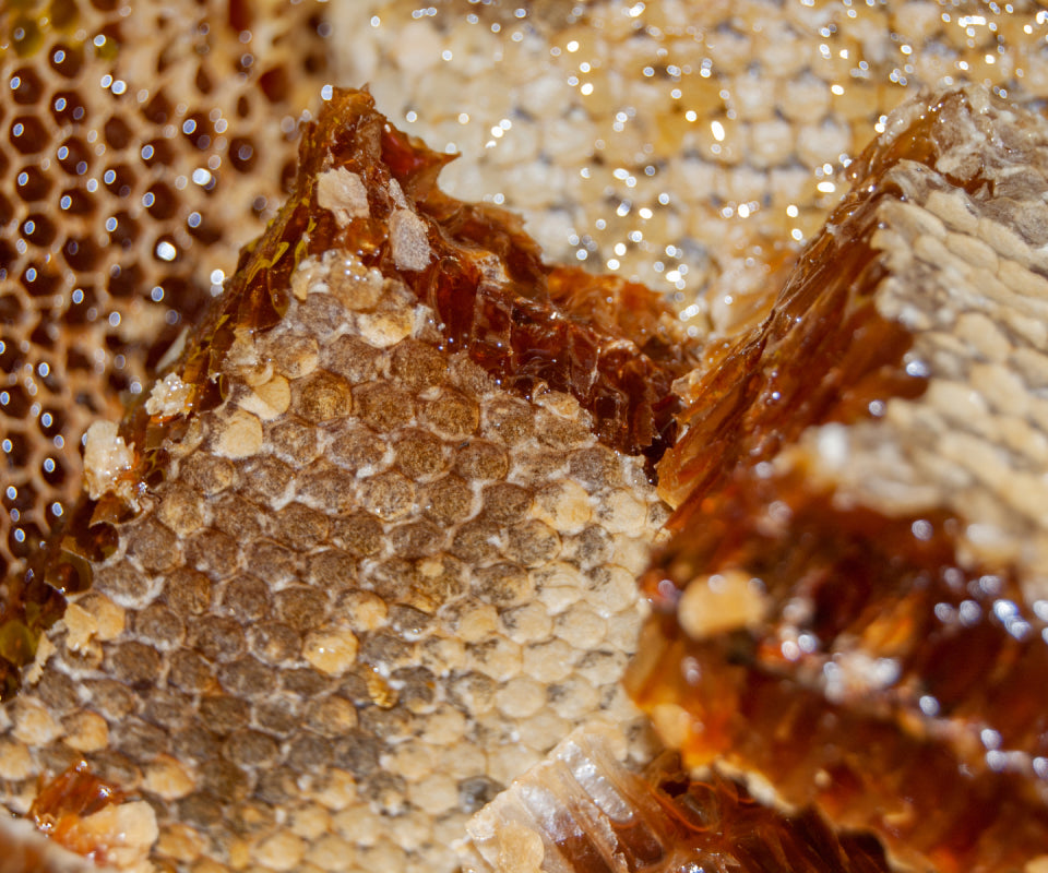 Krocus & Co. Orange & Honey with Greek Saffron herbal tea ingredient, close-up of natural honeycomb