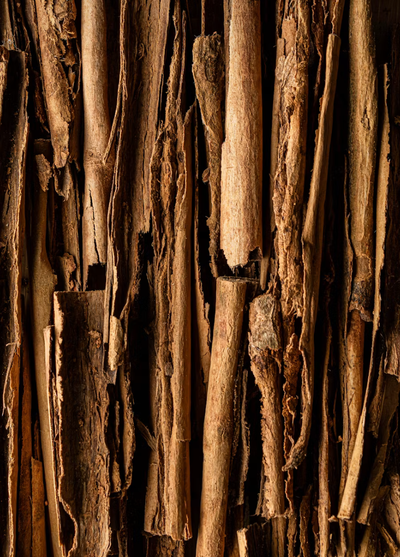 Close-up of cinnamon sticks, an ingredient in Krocus & Co. Cinnamon & Clove herbal tea