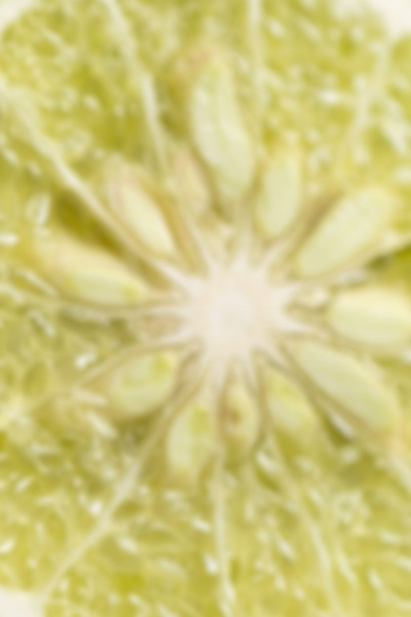 Macro close-up of a halved bergamot fruit, the citrus used in Krocus & Co. Earl Grey black tea